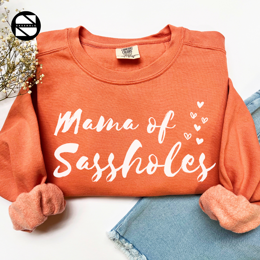Women's Vintage Terracotta
Sasshole Sweatshirt - Bold & Stylish Fashion