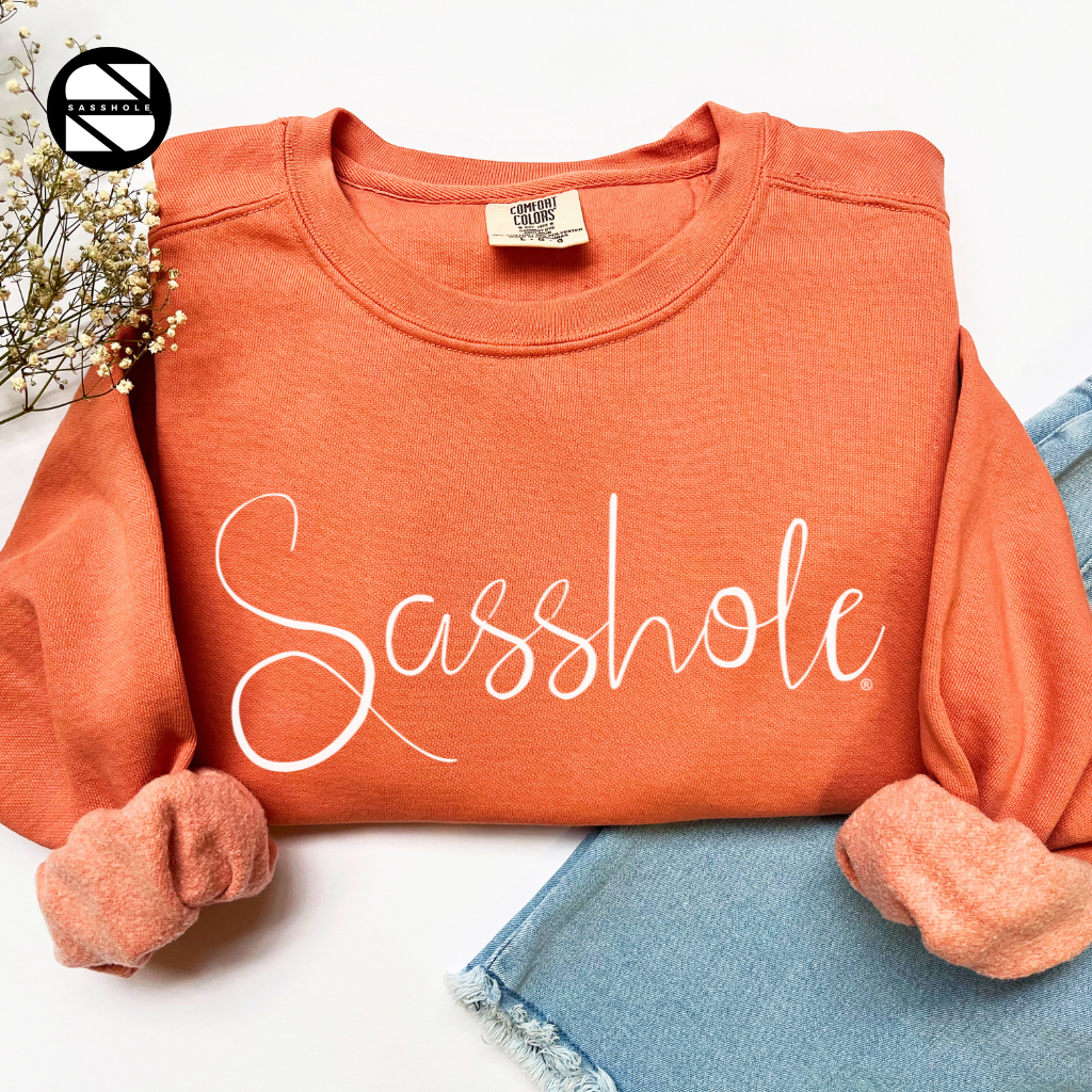 Sasshole Terracotta Womens Alternative Apparel Sweatshirt