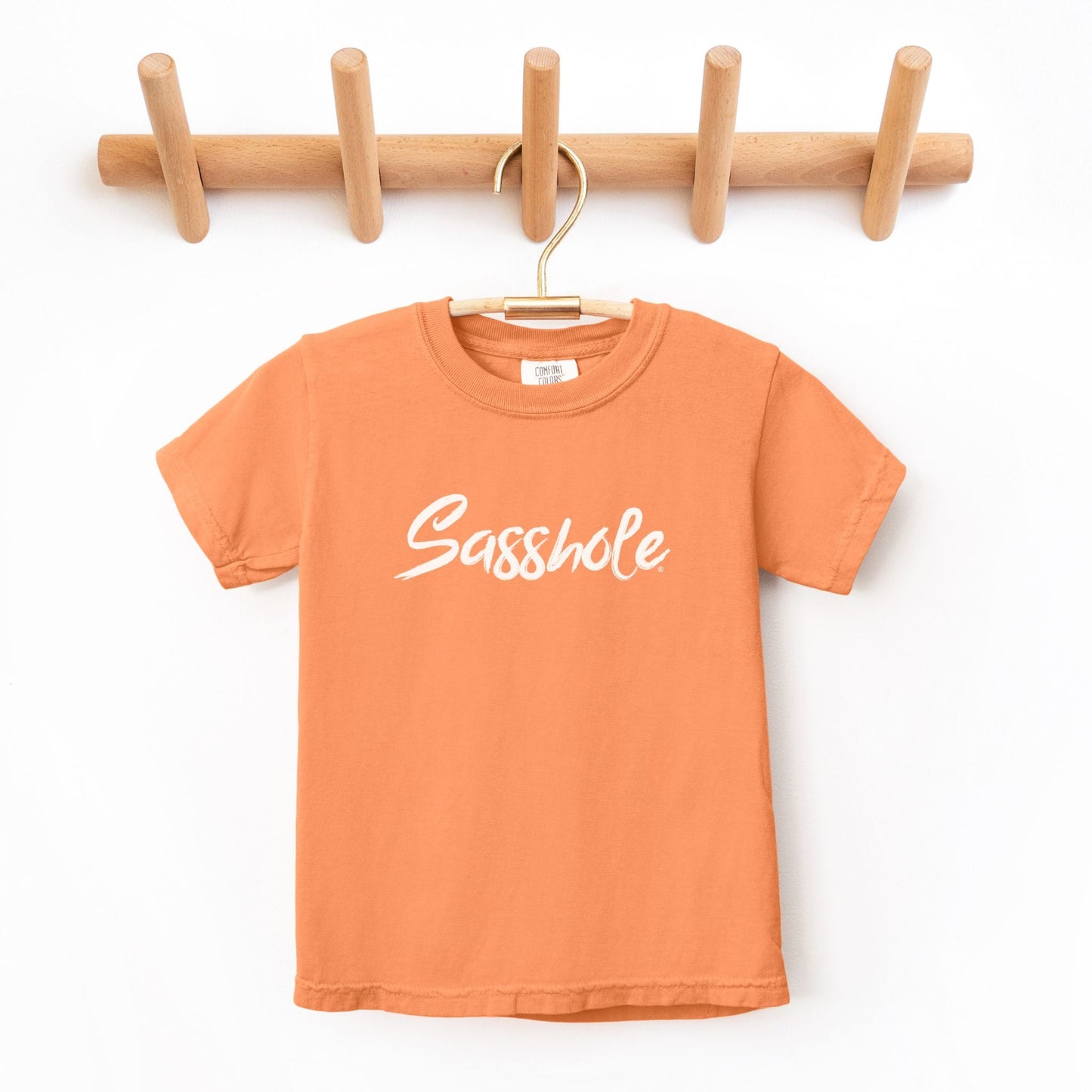 Diva in Training: Sasshole® Youth Fashion Statement Tee - Funny Graphic Tee by Sasshole® Clothing