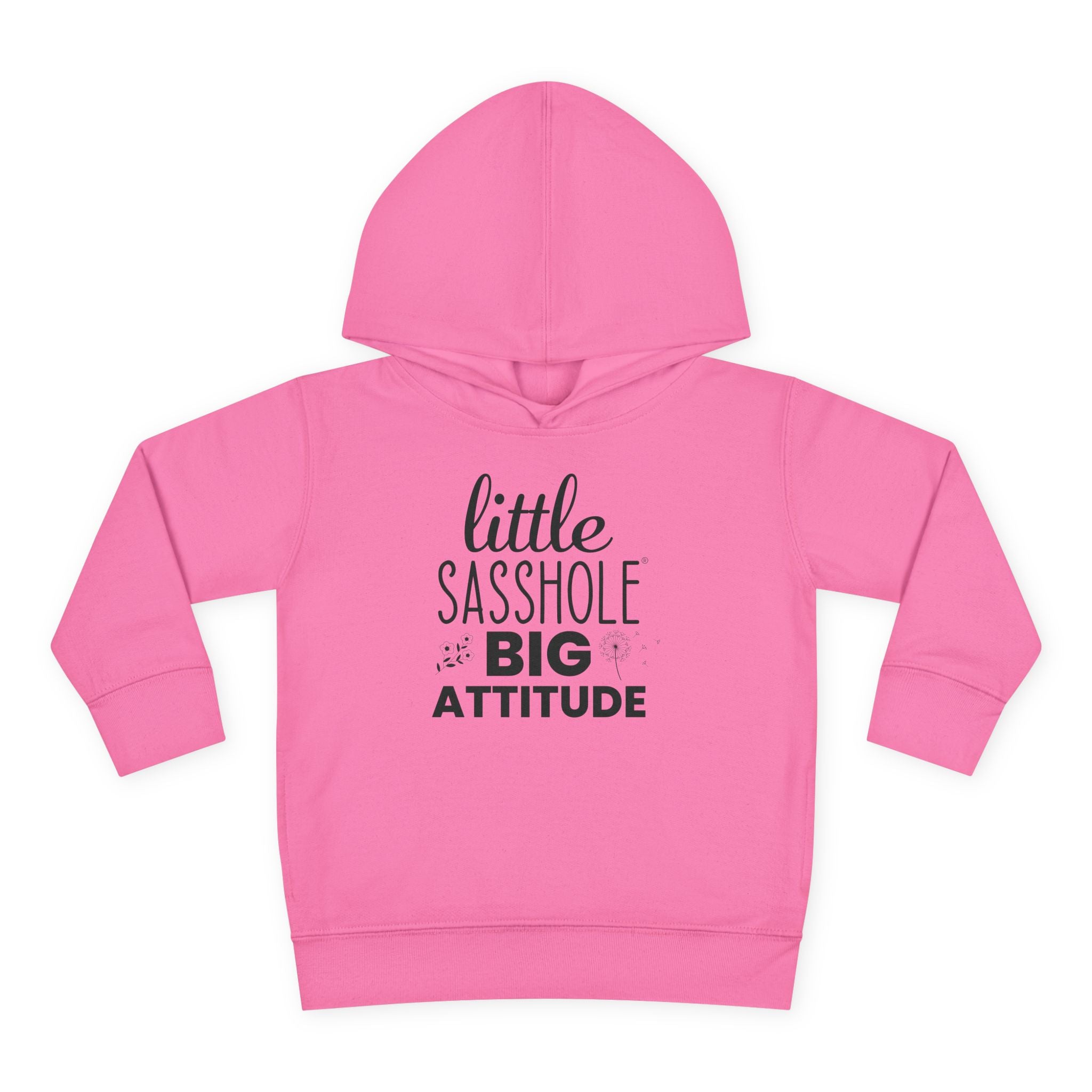 Little Sasshole Big Attitude – The Ultimate Hoodie for Mini Me