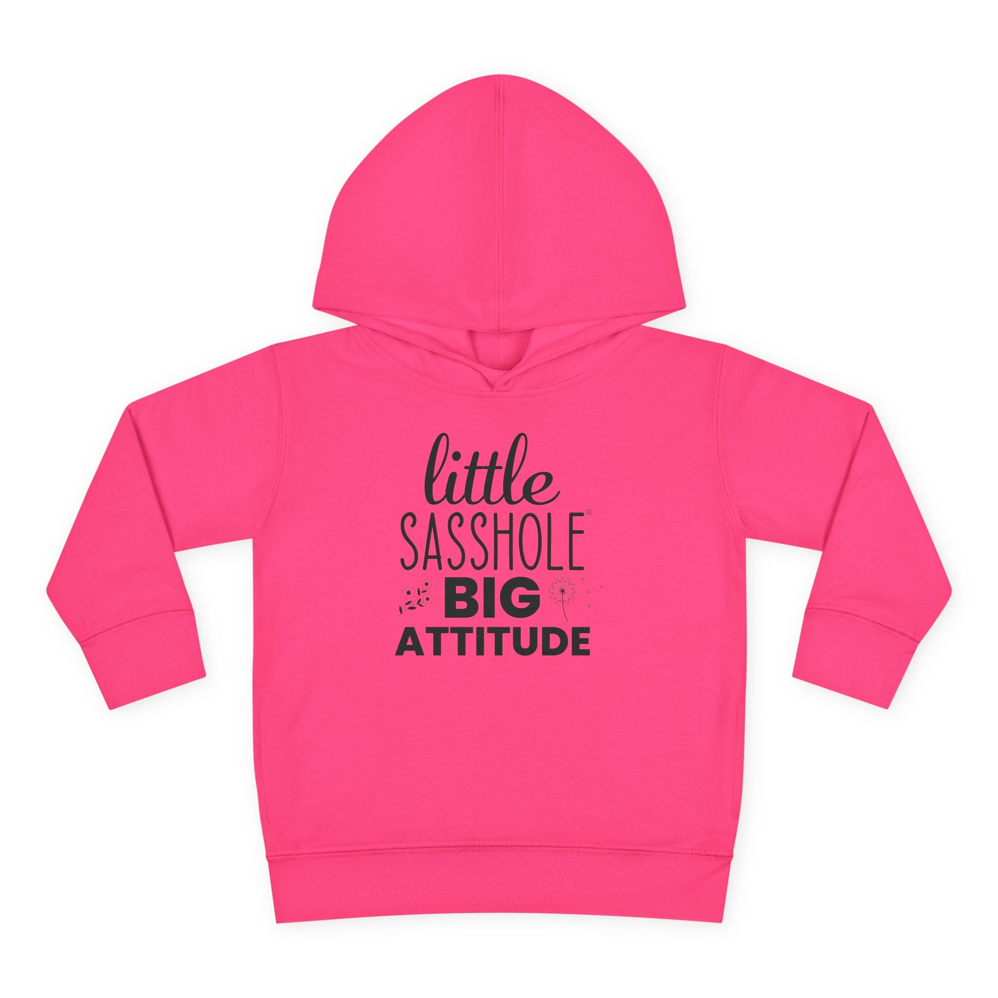 Image of Little Sasshole Big Attitude – The Ultimate Hoodie for Mini Me