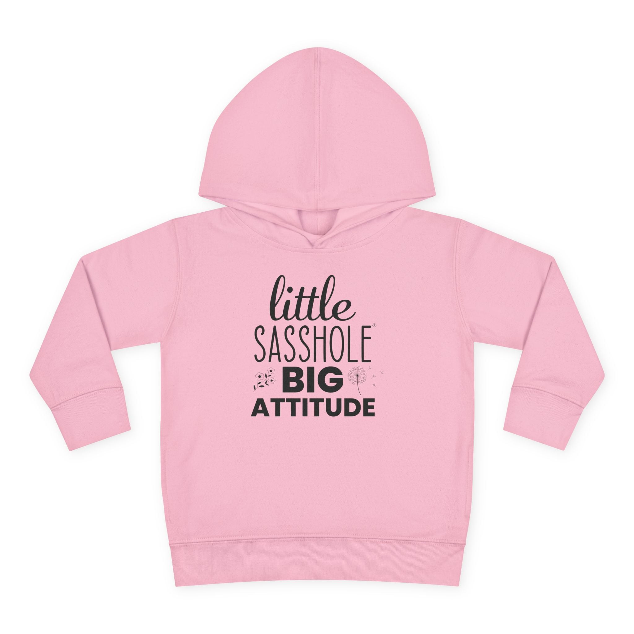 Little Sasshole Big Attitude – The Ultimate Hoodie for Mini Me