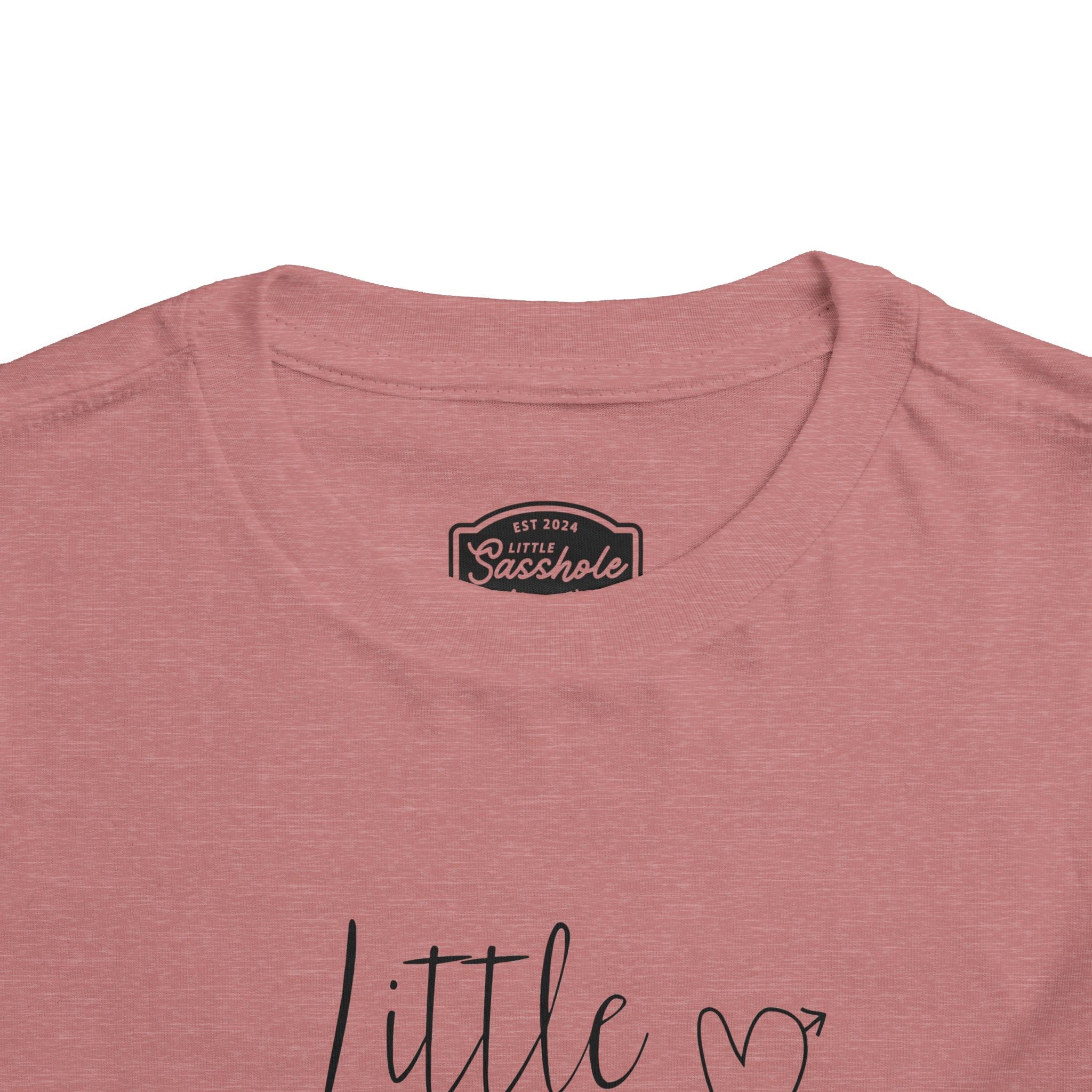 Image of Spice Up Your Toddler's Wardrobe with a Little Sasshole™ Short Sleeve Tee