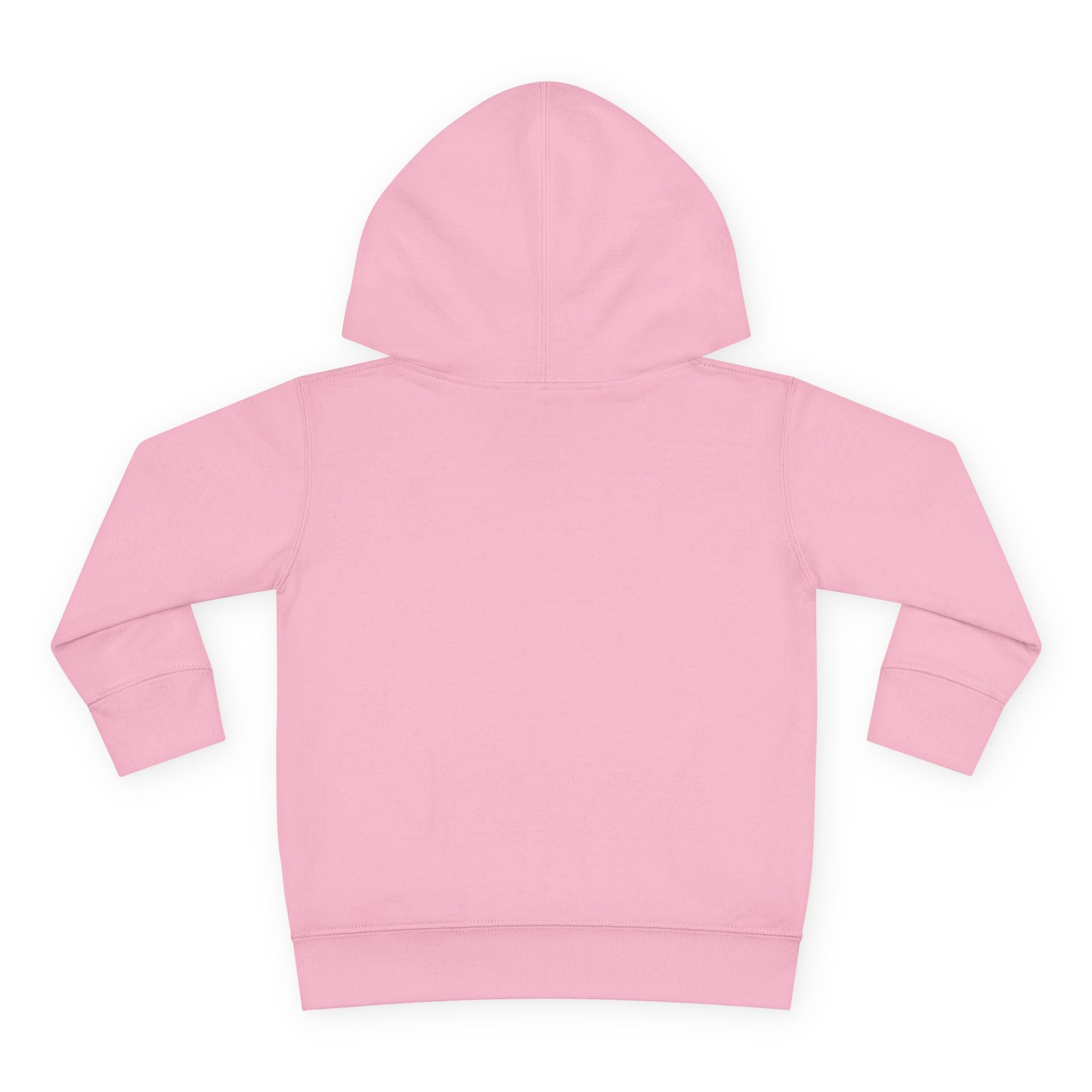 Image of Little Sasshole Big Attitude – The Ultimate Hoodie for Mini Me