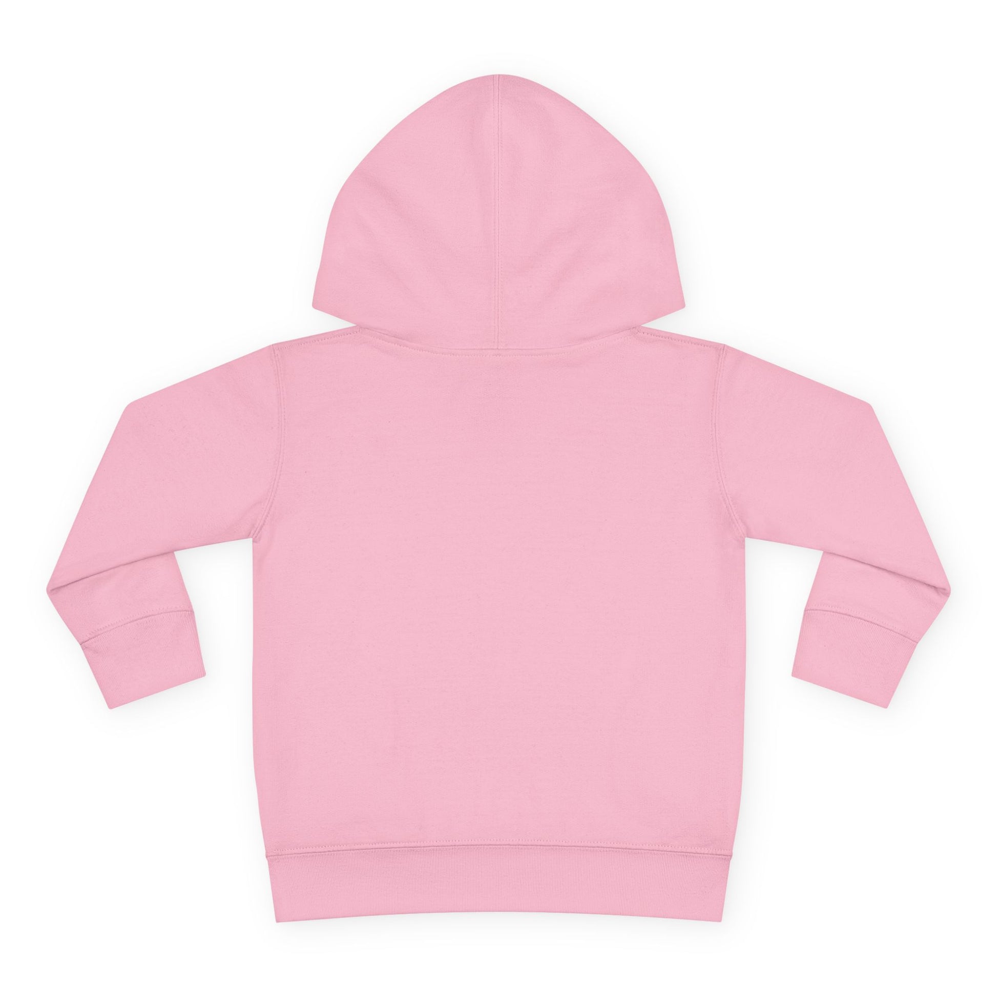 Little Sasshole Big Attitude – The Ultimate Hoodie for Mini Me