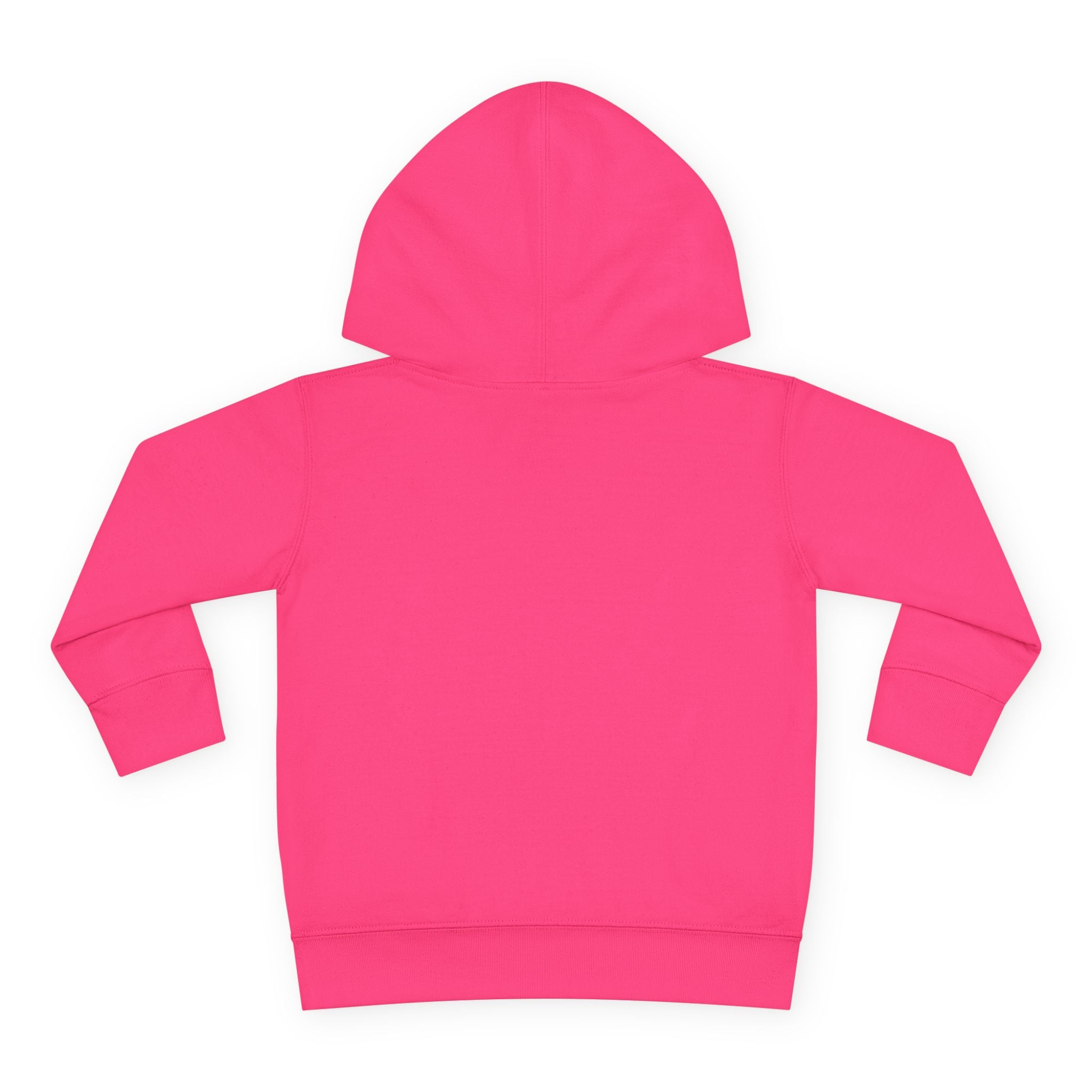 Image of Little Sasshole Big Attitude – The Ultimate Hoodie for Mini Me