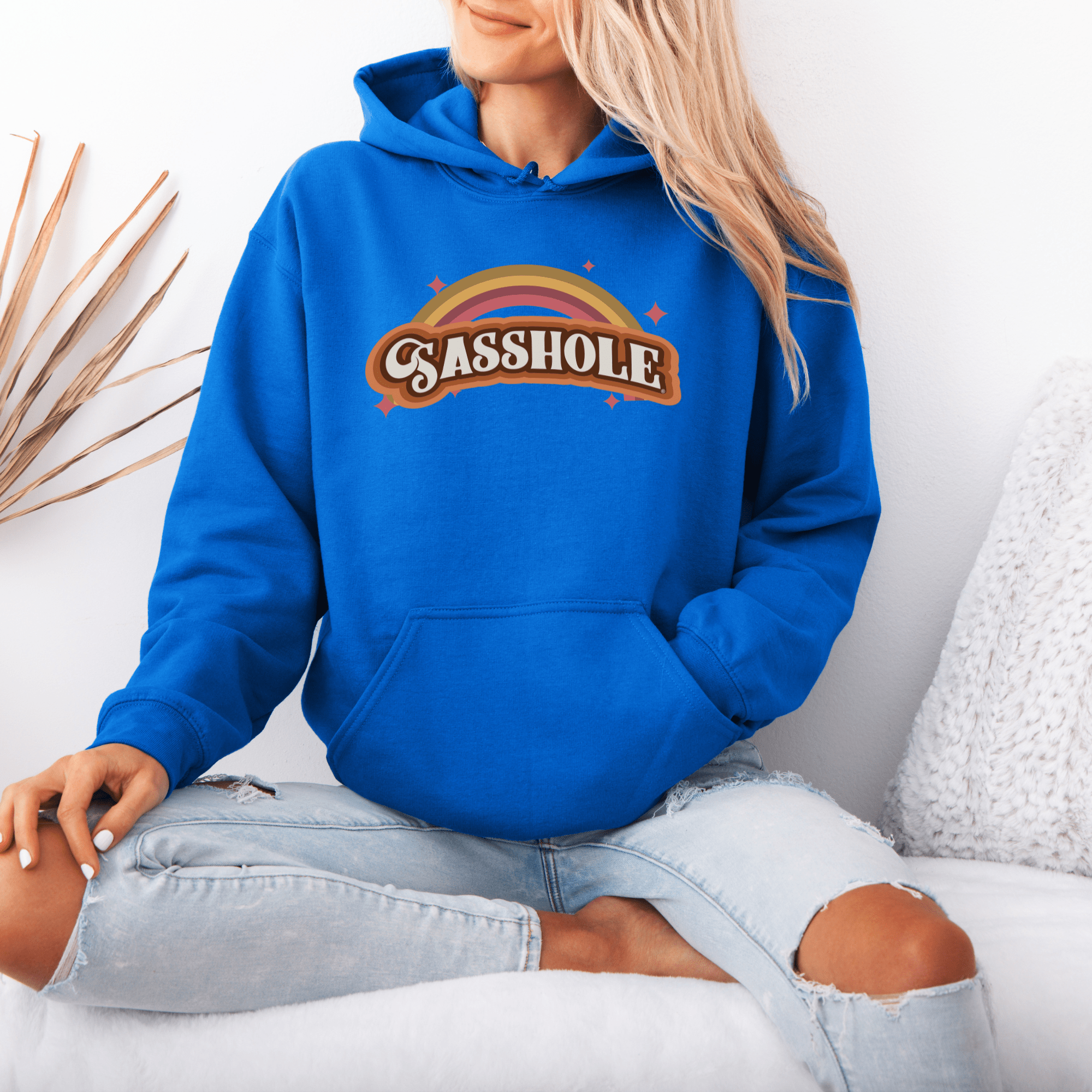 Image of 70's Retro Inspired: Sasshole® Rainbow Women's Vintage Hoodie - Funny Graphic Tee by Sasshole® Clothing