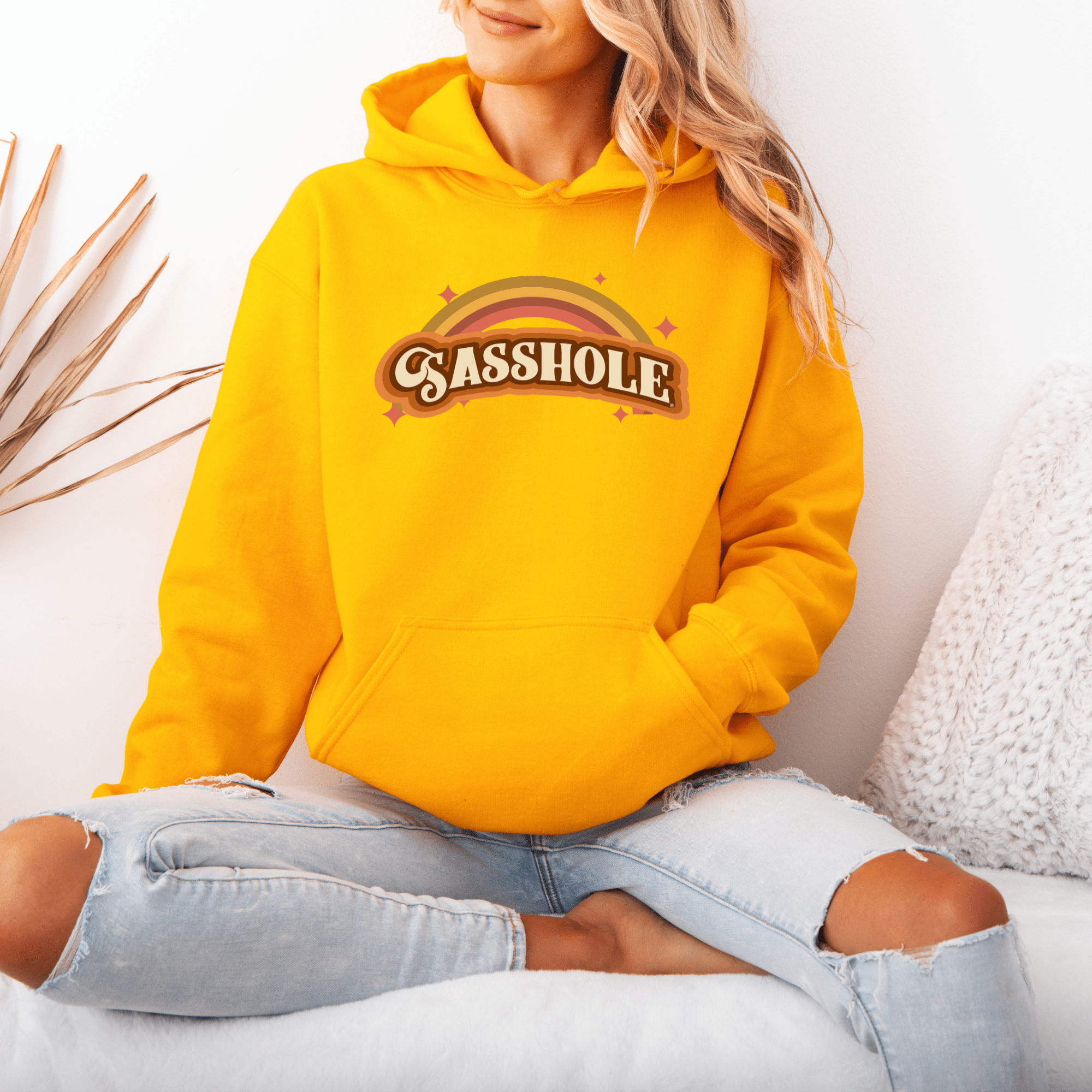 Image of 70's Retro Inspired: Sasshole® Rainbow Women's Vintage Hoodie - Funny Graphic Tee by Sasshole® Clothing