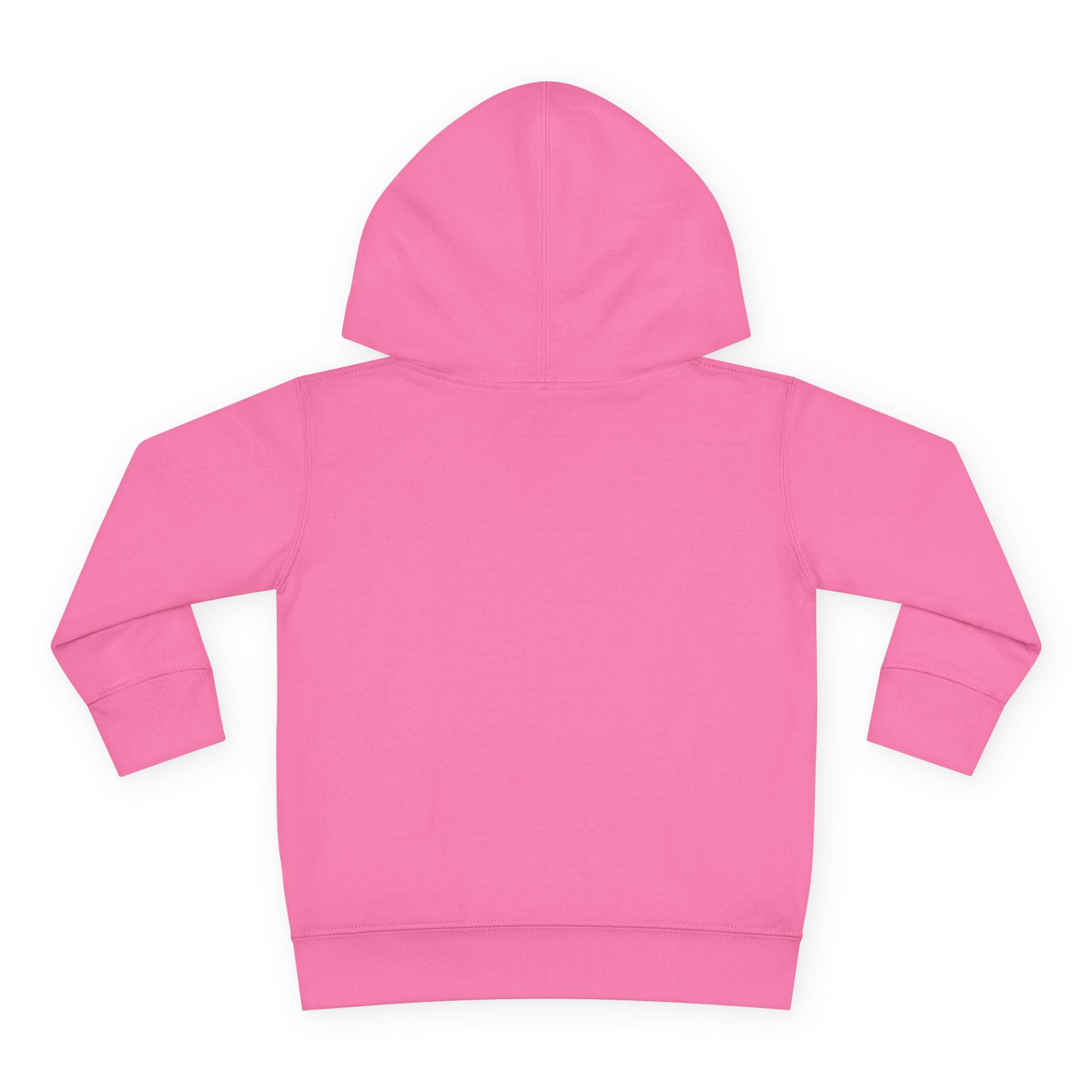 Little Sasshole Big Attitude – The Ultimate Hoodie for Mini Me