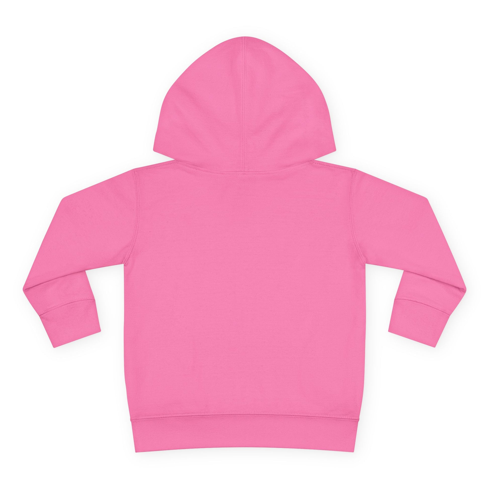 Little Sasshole Big Attitude – The Ultimate Hoodie for Mini Me