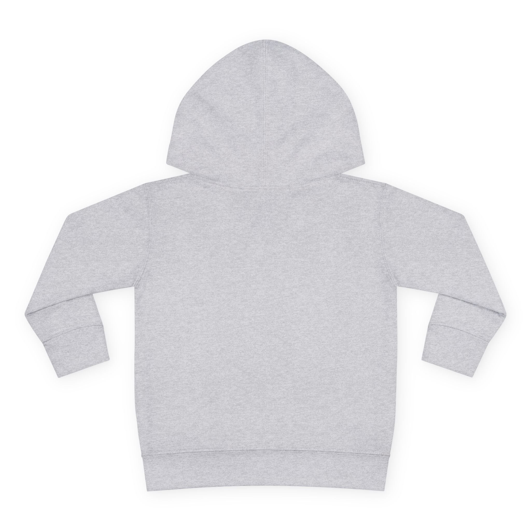 Little Sasshole Big Attitude – The Ultimate Hoodie for Mini Me