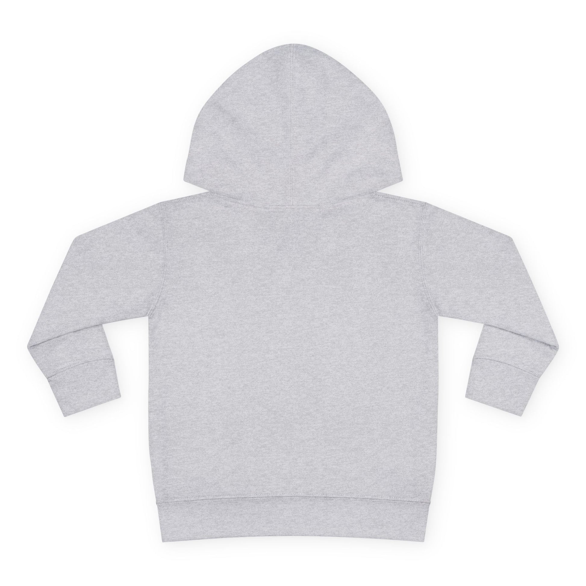 Little Sasshole Big Attitude – The Ultimate Hoodie for Mini Me