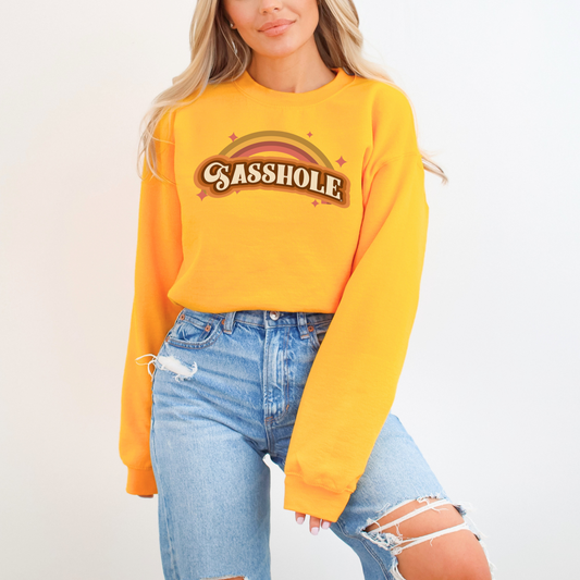 70's Inspired Sasshole®: Chic & Retro Rainbow Women's Vintage Sweatshirt