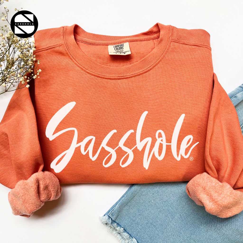 Sasshole Terracotta Womens Alternative Apparel Sweatshirt