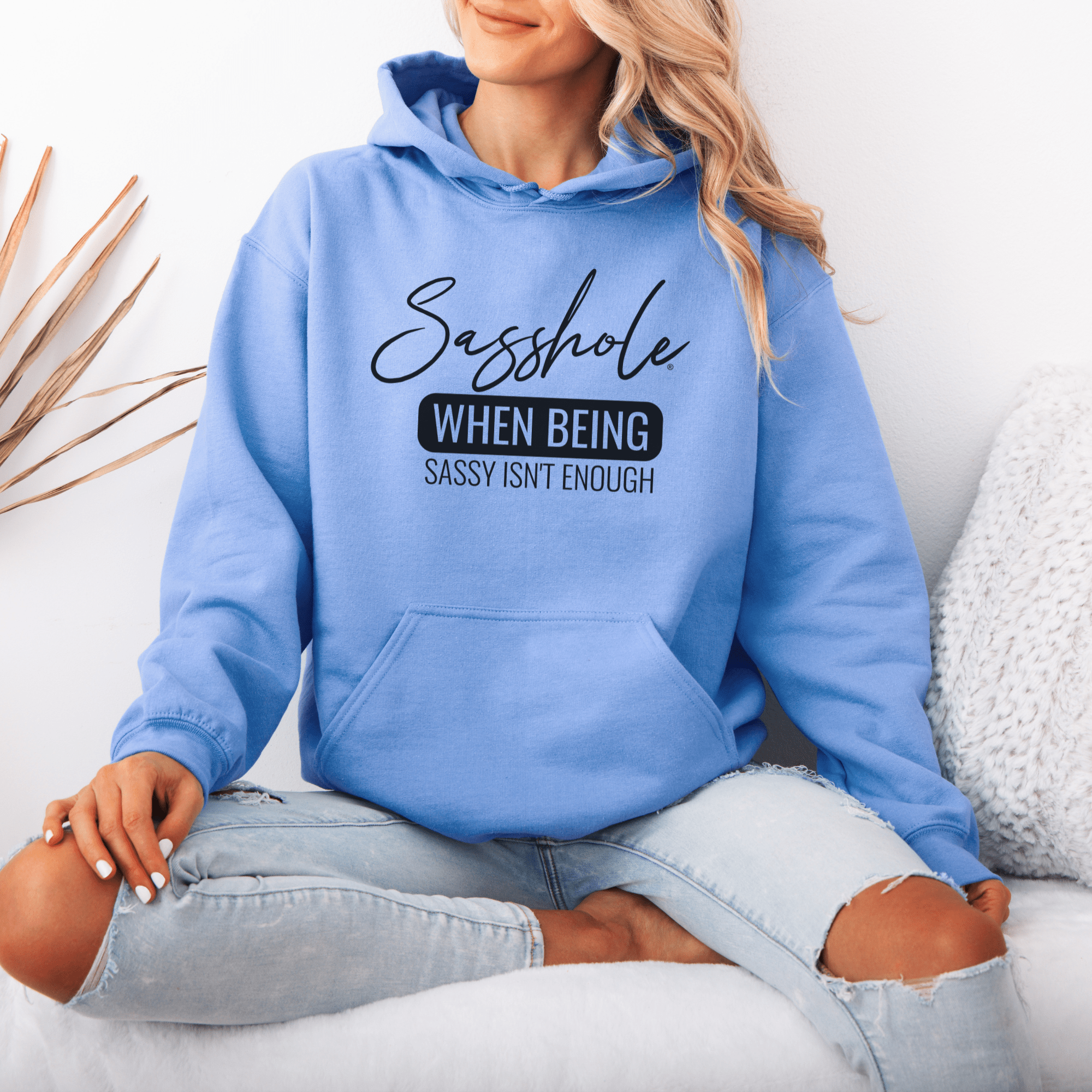 Image of Level Up Your Sass: Sasshole® Statement Hoodies for Women - Funny Graphic Tee by Sasshole® Clothing