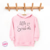 Little Sasshole®: Hoodie of Mischief Toddler Girl's Cute Hoodie - Funny Graphic Tee by Sasshole® Clothing