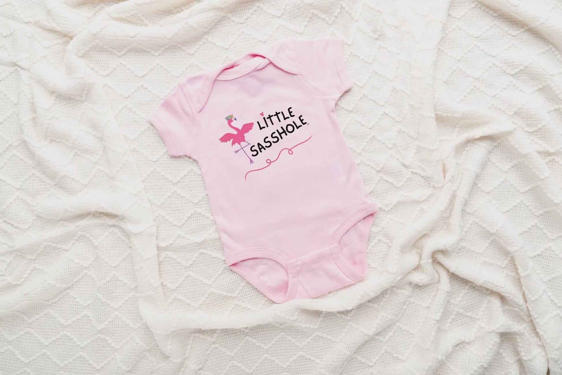 unisex baby clothes, Seasonal Picks, sassy baby clothes, Regular fit, onesies baby, Onesies, onesie bodysuit, onesie baby, one piece bodysuits, neutral baby clothes, little sasshole baby, Kids' Clothing, infant bodysuits, infant bodysuit, graphic bodysuit, girls onesie, girls bodysuits, girls bodysuit, girls, gender neutral baby clothes